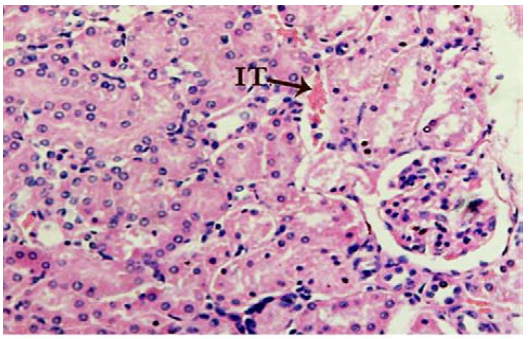 Biomedical Science &, Research Biomedical Science &, Research
