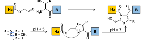 Biomedical Science &, Research Biomedical Science &, Research