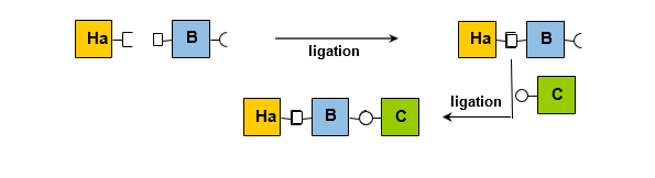 Biomedical Science &, Research Biomedical Science &, Research