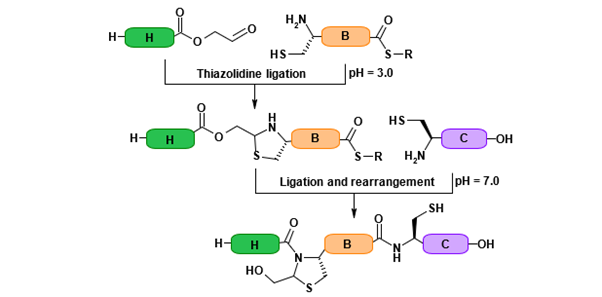 Biomedical Science &, Research Biomedical Science &, Research