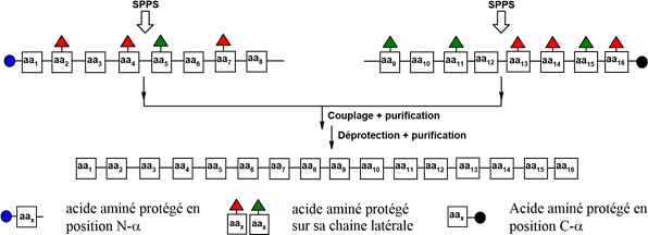 Biomedical Science &, Research Biomedical Science &, Research