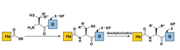 Biomedical Science &, Research Biomedical Science &, Research