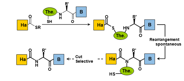 Biomedical Science &, Research Biomedical Science &, Research