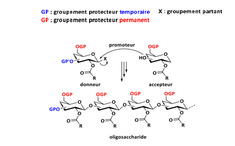 Biomedical Science &, Research Biomedical Science &, Research