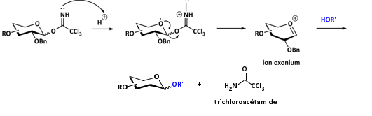 Biomedical Science &, Research Biomedical Science &, Research