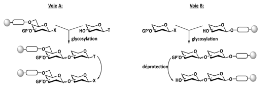 Biomedical Science &, Research Biomedical Science &, Research