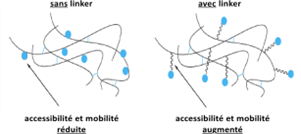 Biomedical Science &, Research Biomedical Science &, Research