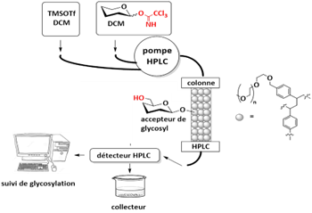 Biomedical Science &, Research Biomedical Science &, Research
