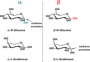 Biomedical Science &, Research Biomedical Science &, Research