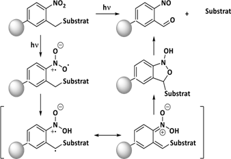 Biomedical Science &, Research Biomedical Science &, Research