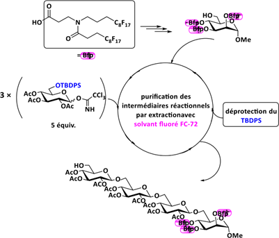 Biomedical Science &, Research Biomedical Science &, Research