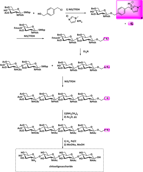 Biomedical Science &, Research Biomedical Science &, Research