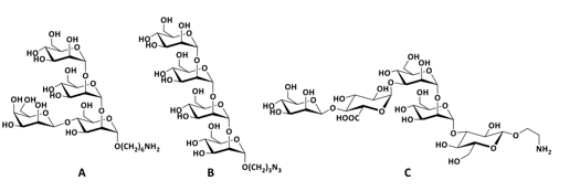 Biomedical Science &, Research Biomedical Science &, Research
