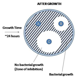 Biomedical Science &, Research Biomedical Science &, Research