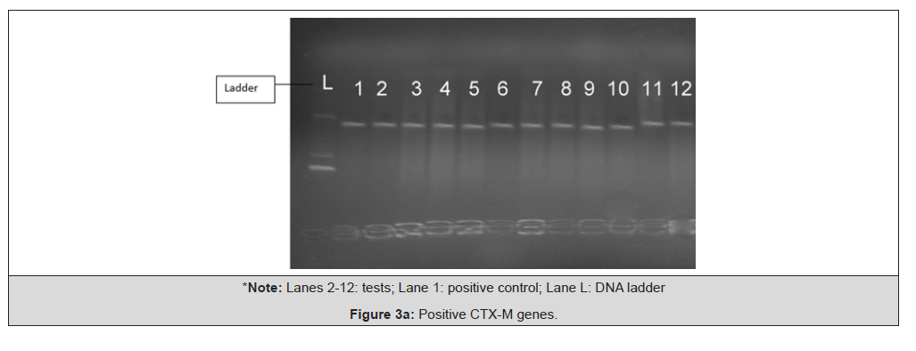 Biomedical Science &, Research Biomedical Science &, Research