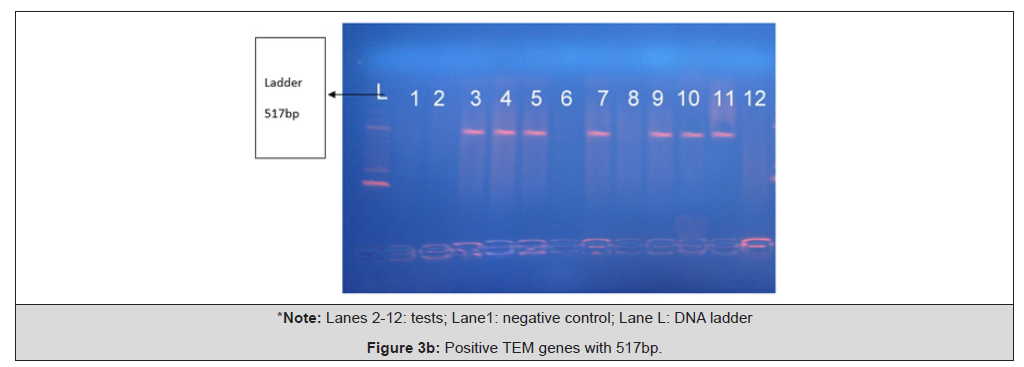 Biomedical Science &, Research Biomedical Science &, Research