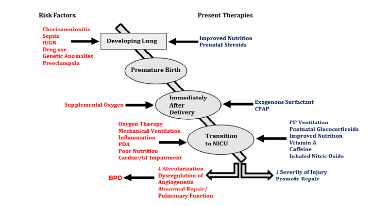 Biomedical Science & Research Biomedical Science & Research