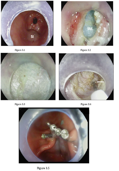 Biomedical Science & Research Biomedical Science & Research