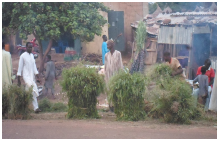 Biomedical Science & Research Biomedical Science & Research