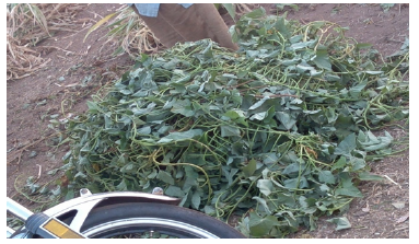 Biomedical Science & Research Biomedical Science & Research