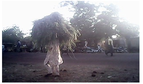 Biomedical Science & Research Biomedical Science & Research