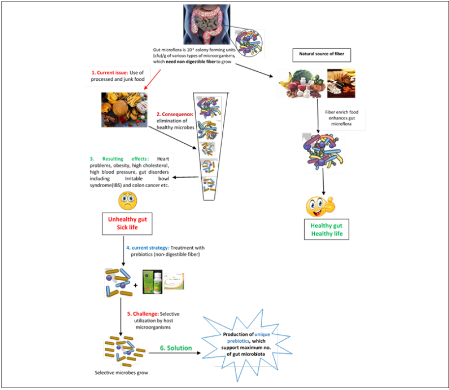 Biomedical Science &, Research Biomedical Science &, Research